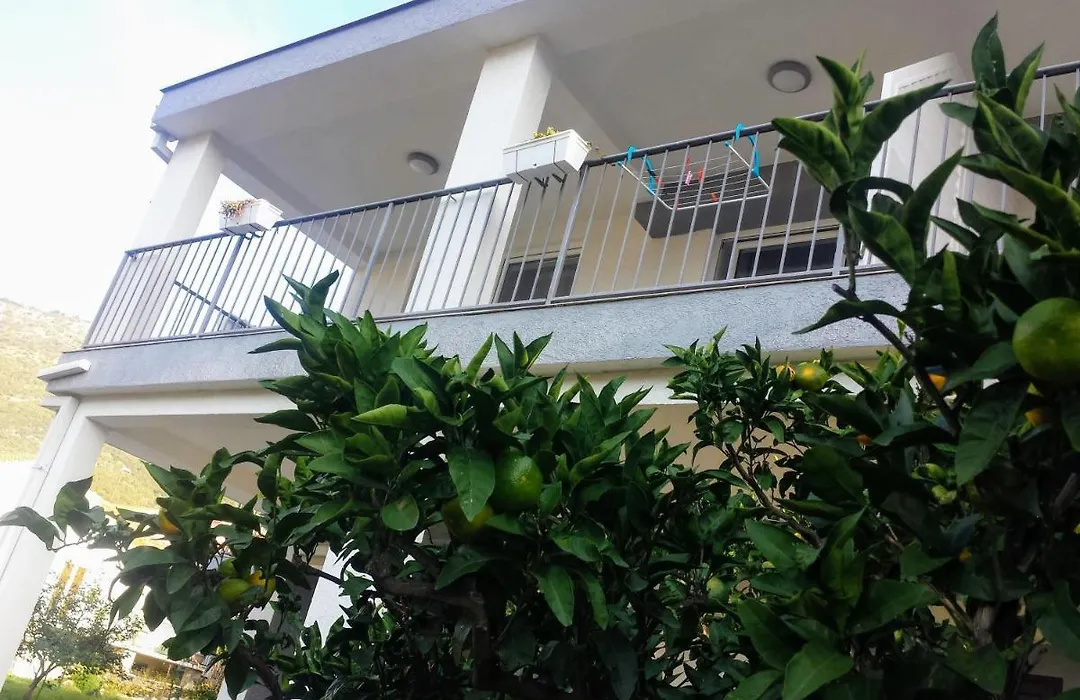 Guest House Djonovic-1
