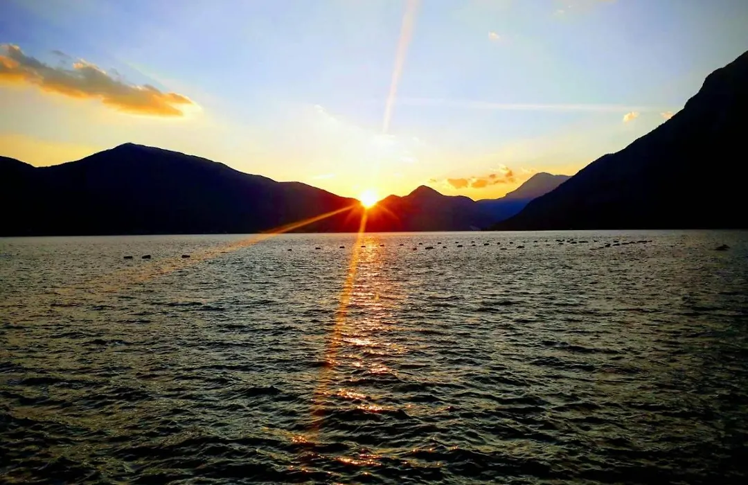 Magical View-1