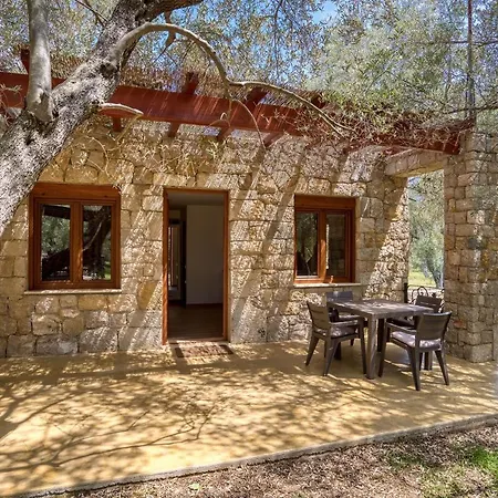 Stonehouse in Olives-2