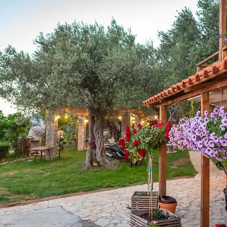 Holiday Park Olive Tree-3
