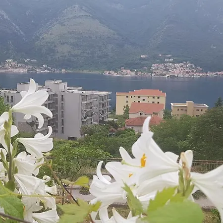 Apartment Jelena-2