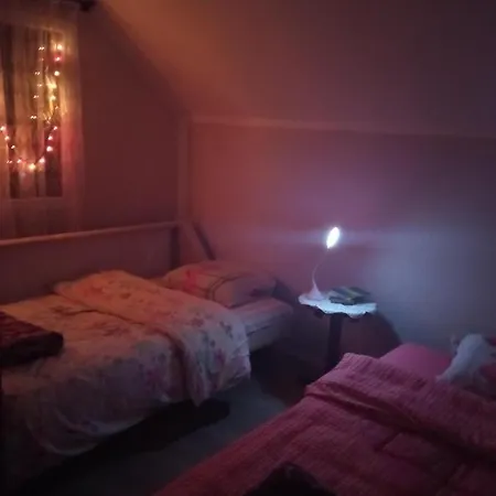 Apartman Vojin-3