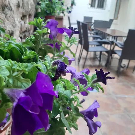 Kotor Emerald Apartments-3