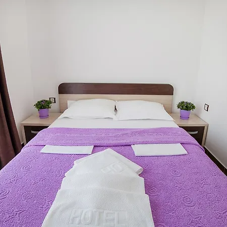 Dimic Ellite Accommodation-3
