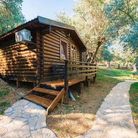 Holiday Park Olive Tree-2