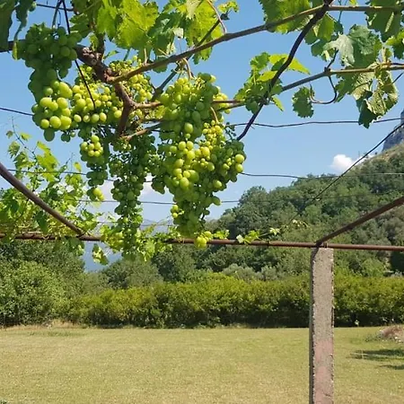 Rustic Pool House Radovic-3