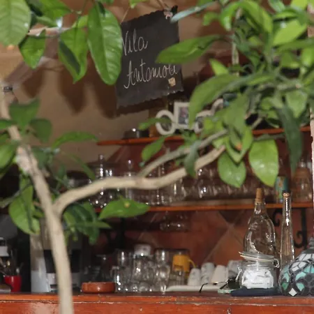 Best Location Old Town Budva Rooms-3