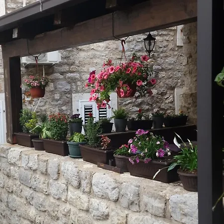 Rooms Dana Old Town Budva-3
