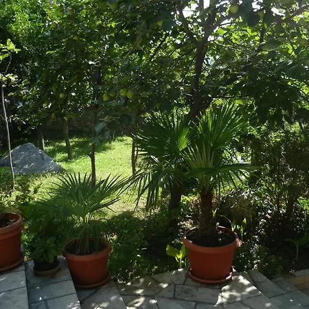 Apartments Villa PM-2