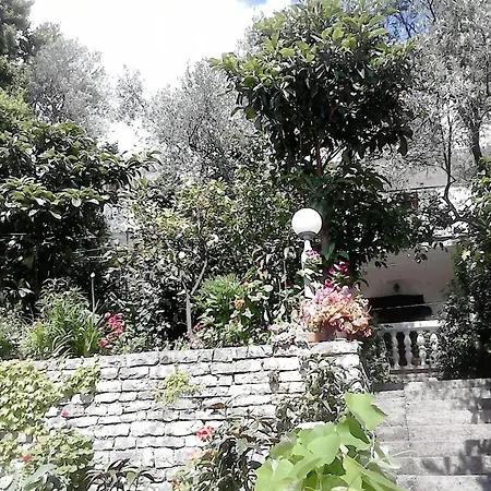 Oaza Guest House-3