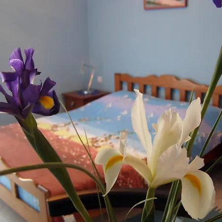 Djurovic Apartments Montenegro-3
