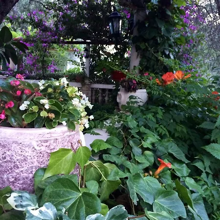 Guest House Maslina-2