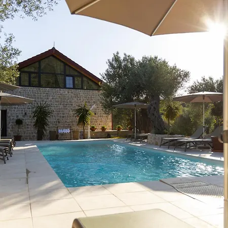 Mashtra - The Olive House-3
