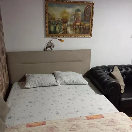 Apartman Twins Nedovic-3