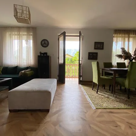 Villa Nikola-2
