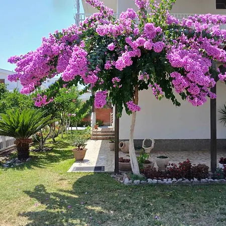 Vila Adriatik-2