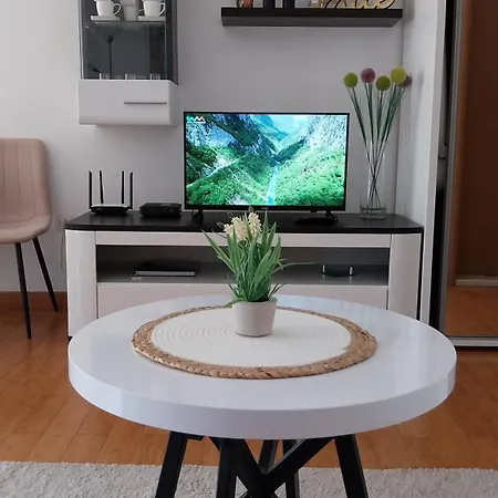Apartment Milica-2