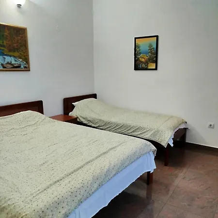Mijovic Apartments-3