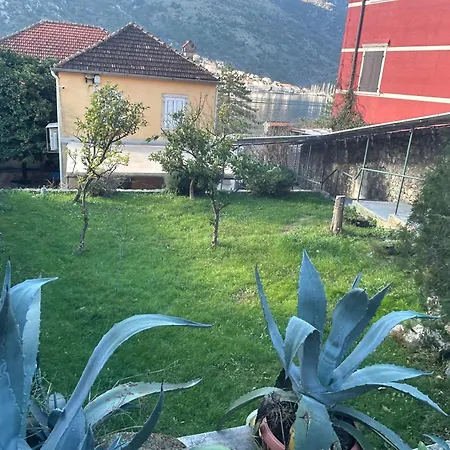Villa Miramare , Dobrota Seafront-2