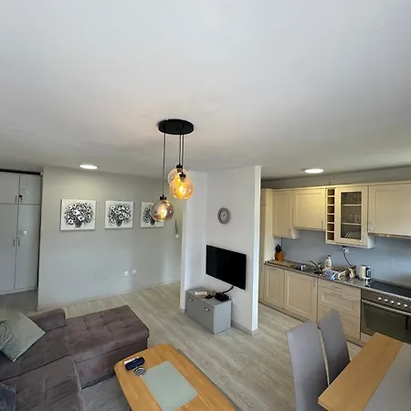 Apartment Topla-3