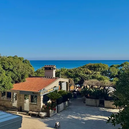 Beachfront Hotel Palma - Jaz-3