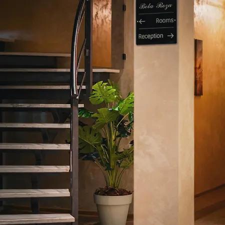 Hotel Bela Roza-2