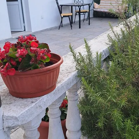 Apartmani Ljumovic Budva-2