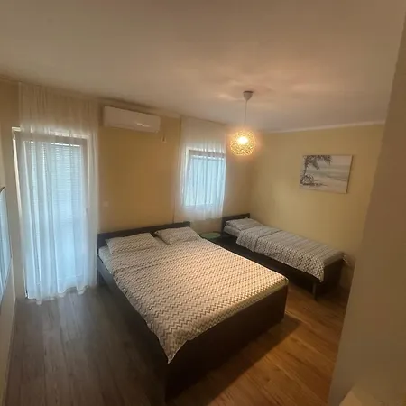 Home Scekic-3