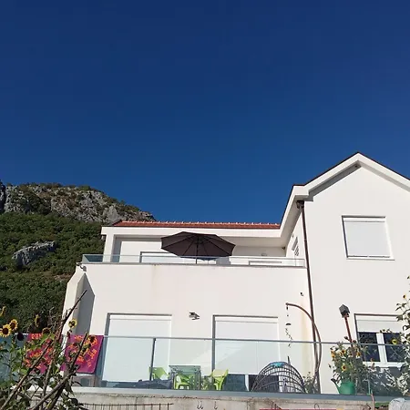 Lapcici View-2