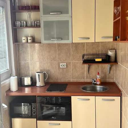 Studio Apartment For Rent In Budva-2