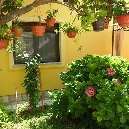 Apartments Matkovic-3