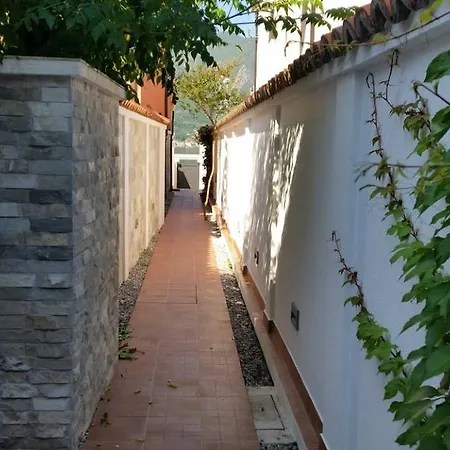 Villa Olivia-3
