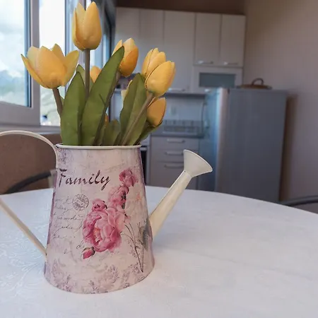 Apartmani Jazz Aleksandra-3