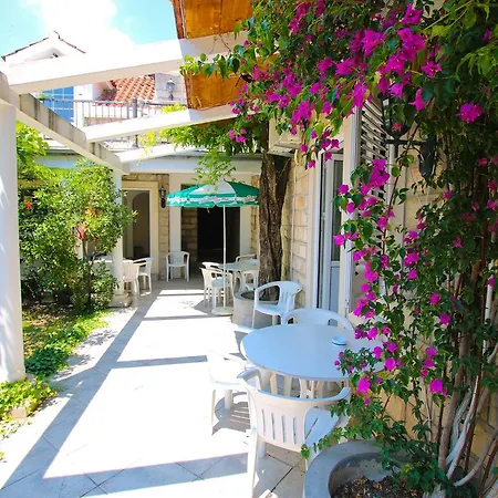 Guest House Saga-3