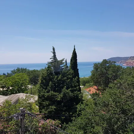 Guest House Dragomir-3