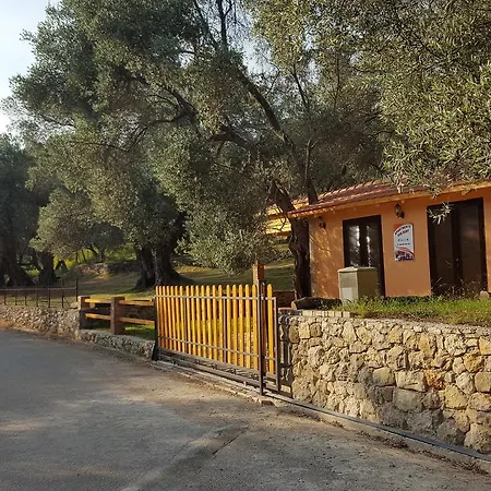 Olive Paradise-3