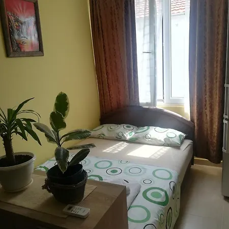 Apartments Vis Jaz-2