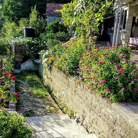 Apartmani Bosco-3