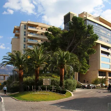 Harmony Bigmontenegro-2