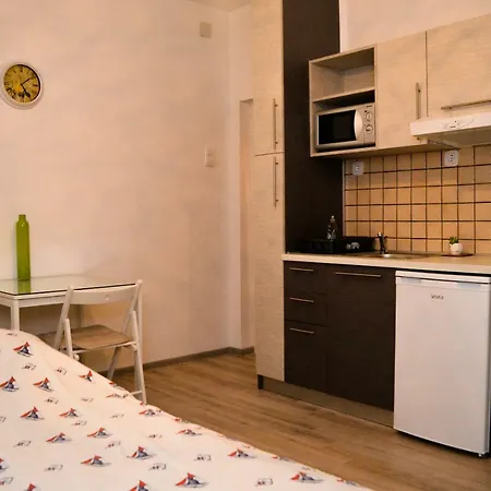 Studio Apartments Ilija-3