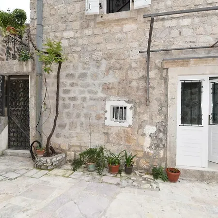 Hostel Michel-2