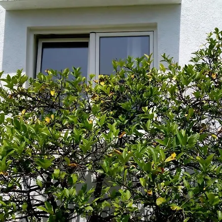 Tea Apartments-2