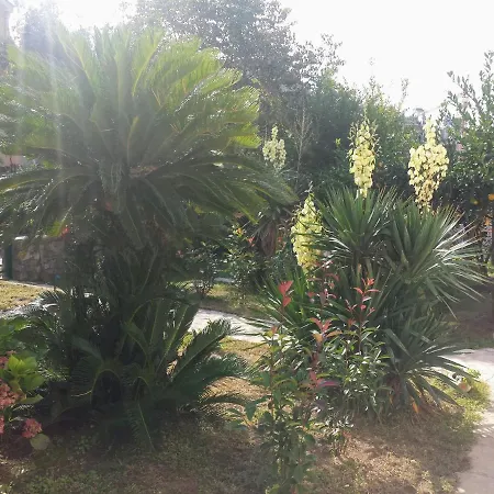 Guest House Djonovic-2