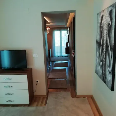 Apartments&Rooms Grand Palazzo-2