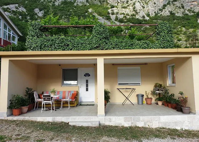 Apartment Jelena Cattaro