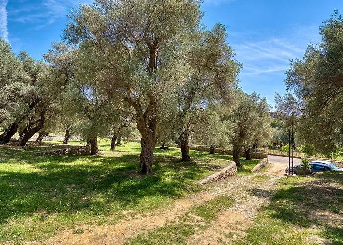 Ferienwohnung Stonehouse in Olives Ulcinj