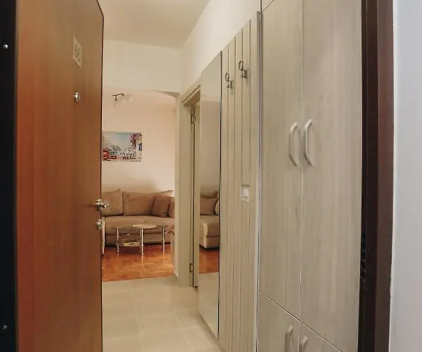 Apartments Viva Oliva Budva acceptant les animaux