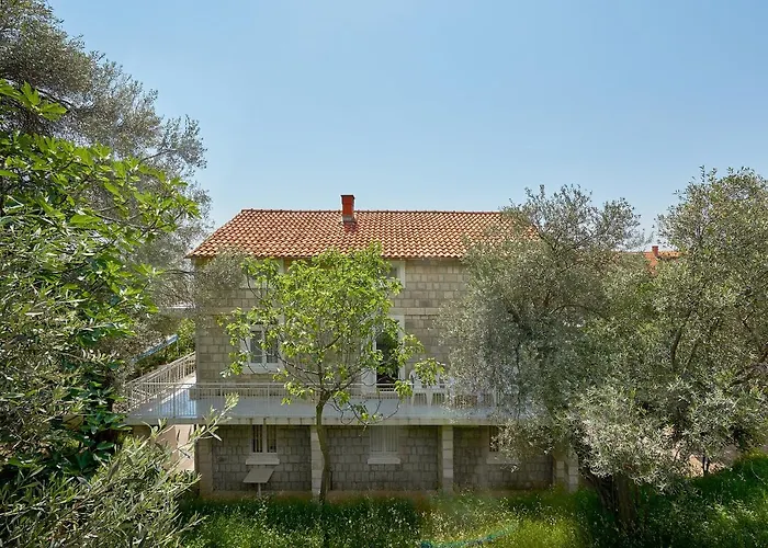 Apartmani Kuca U Maslinama Sveti Stefan che accetta animali