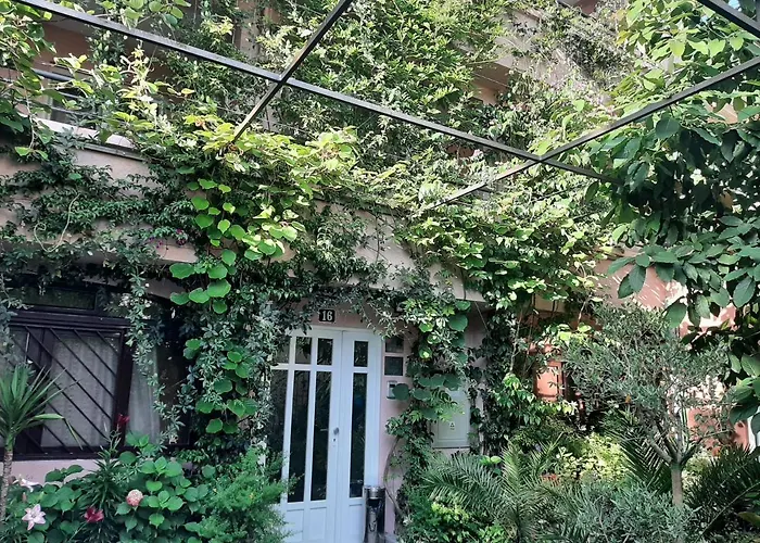 Apartments Stanivukovic Budua che accetta animali