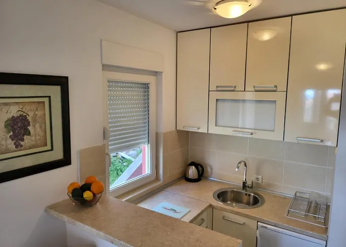 Apartment Rachel Petrovac
